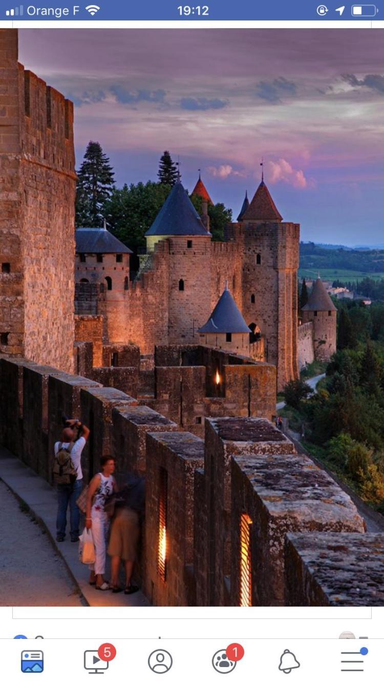 L'Orée de la cité Carcassonne Extérieur photo